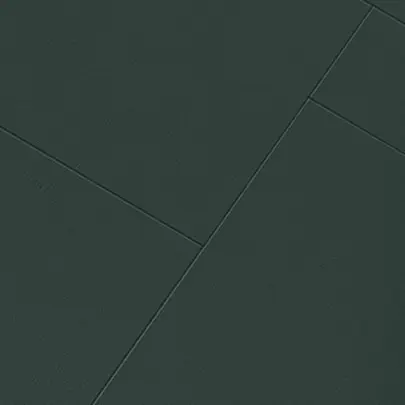 colorshade111