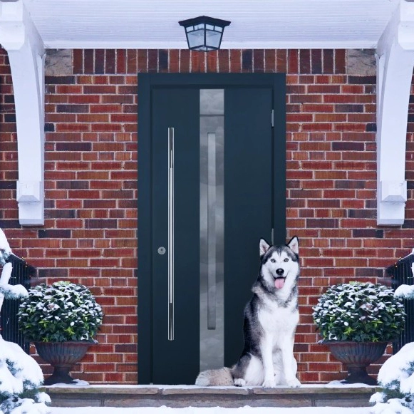 husky2
